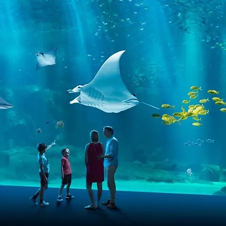 La Baie, Terrasse, Parking Prive, A 5min A Pieds De La Digue De